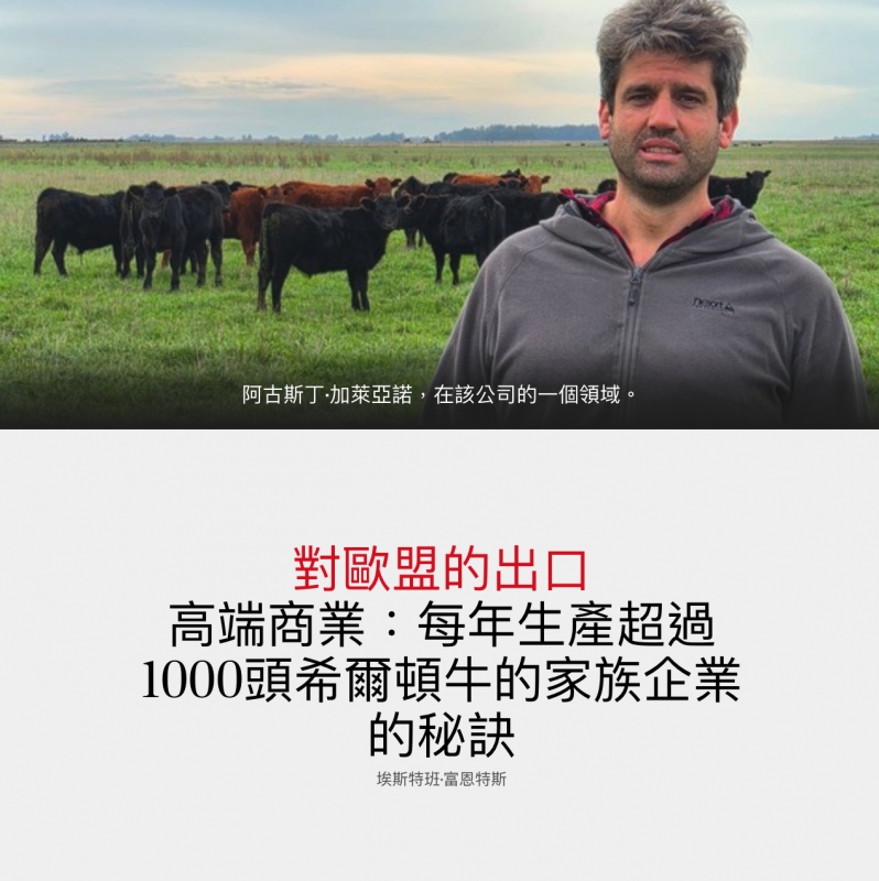 ed放生一一一對歐盟的出口高端商業每年生產超3高端商業每年生產超過頭希爾頓牛的家族企業1000頭希爾頓和牛的家族企業的秘廬秘訣