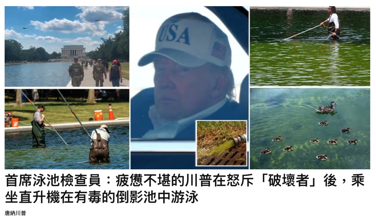 了Ai首席泳池檢查員疲感不堪的川普在怒斥「破壞者」後,科坐直升機在有壽的倒影池中游泳