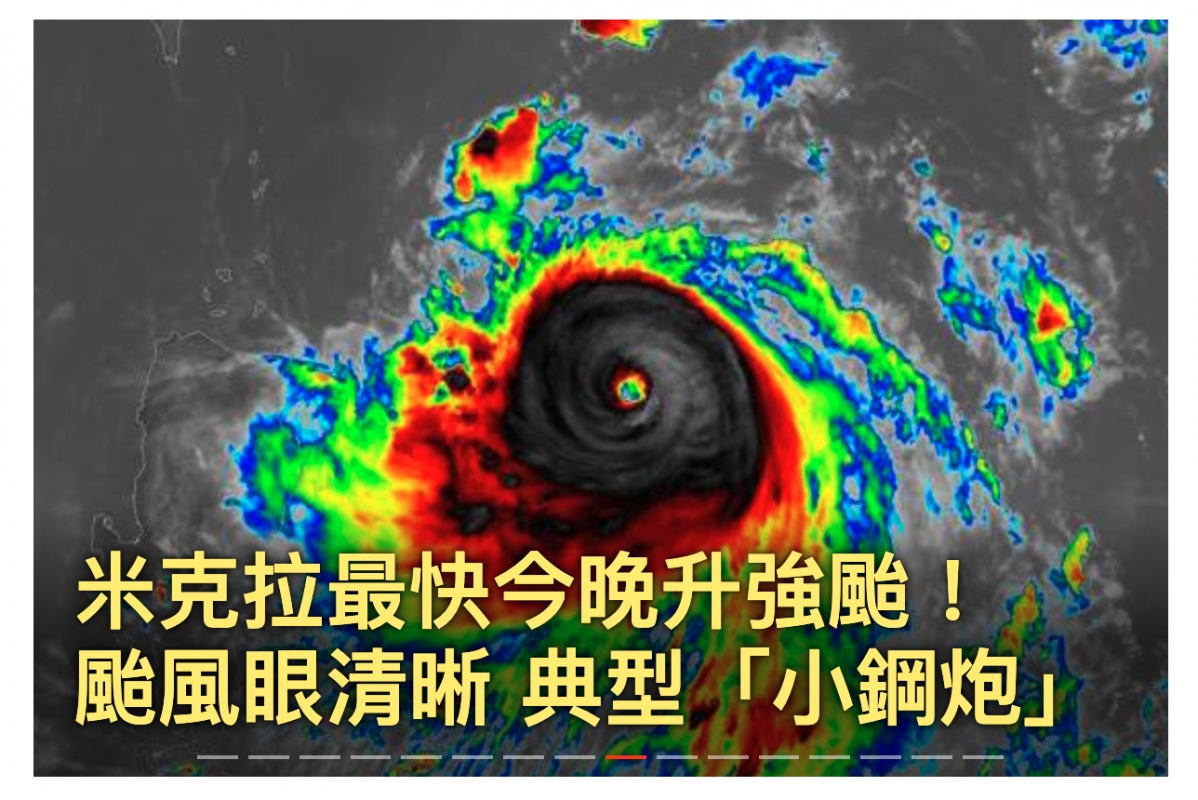 表風眼清晰典型小鋼炮1