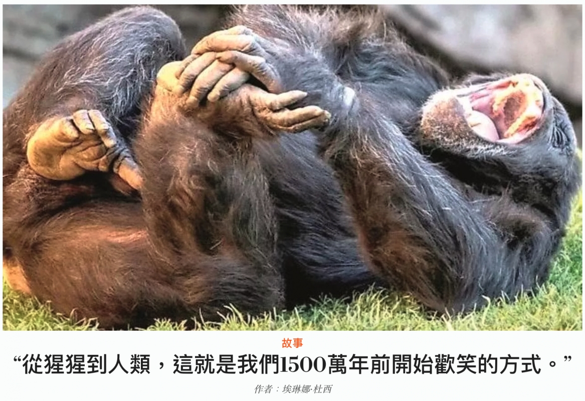 2026-06-27 09:24:48 - (17)  2026-06-27 上午9.21.48
D ...
