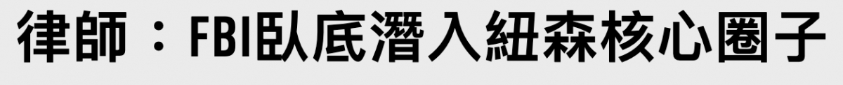 律師FBl臥底潛入紐森核心圈子