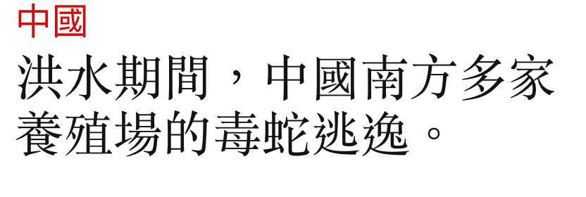 中國洪水期間,中國南方多家養殖場的毒蛇逃逸。