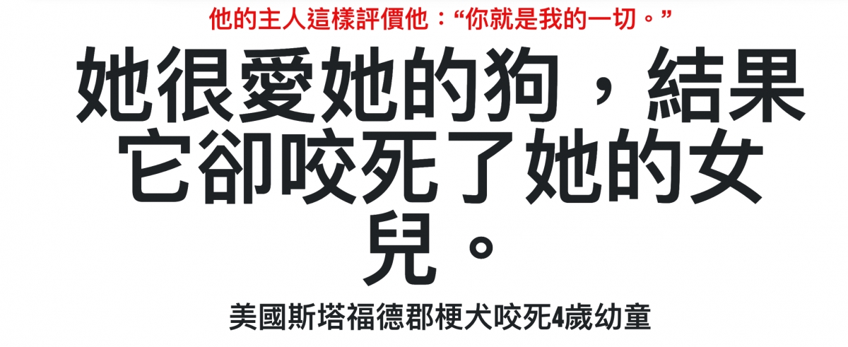 很愛她的狗,結果她很愛她的狗,結兒。