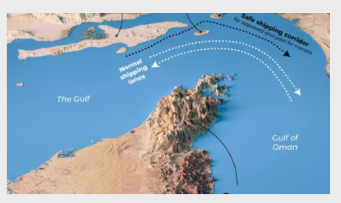 The Gulf 7人生omon