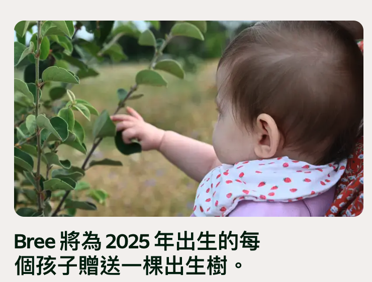 Cr人Bree將為2025年出生的每個孩子贈送一棵出生樹。