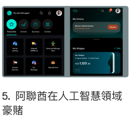 5.阿聯酋在人工智慧領域豪賭