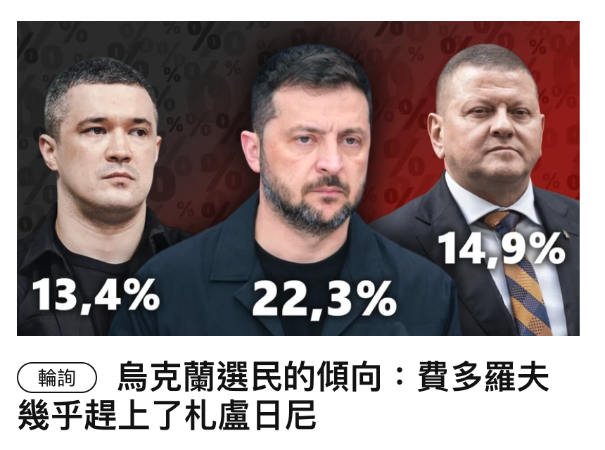 1人99 13,4 22,3 (w)烏克蘭選民的傾向費多羅夫幾乎址上了和札盧日尼