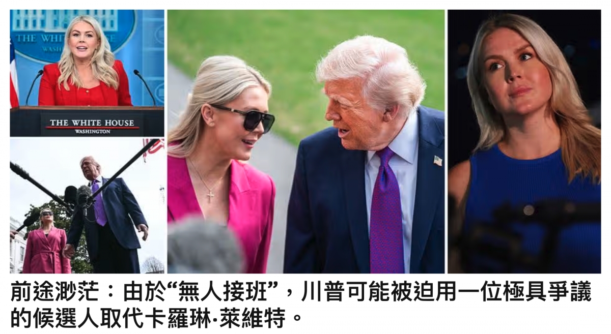 的候選人取代卡羅琳.萊維特。