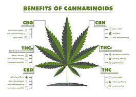 + InMed Pharmaceuticals Inc ( INM )
NASDAQ  USD0. ...