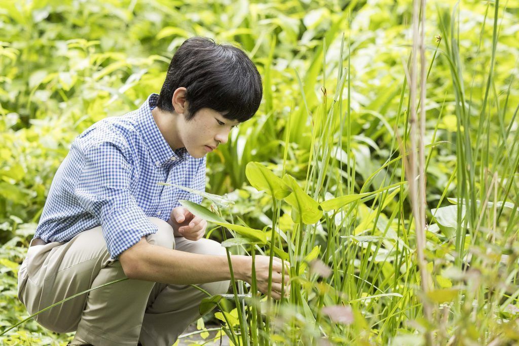 2024-09-07
在日本，皇位第二順位繼承人久仁親王於週五慶祝了自己的 18 歲生日 ...