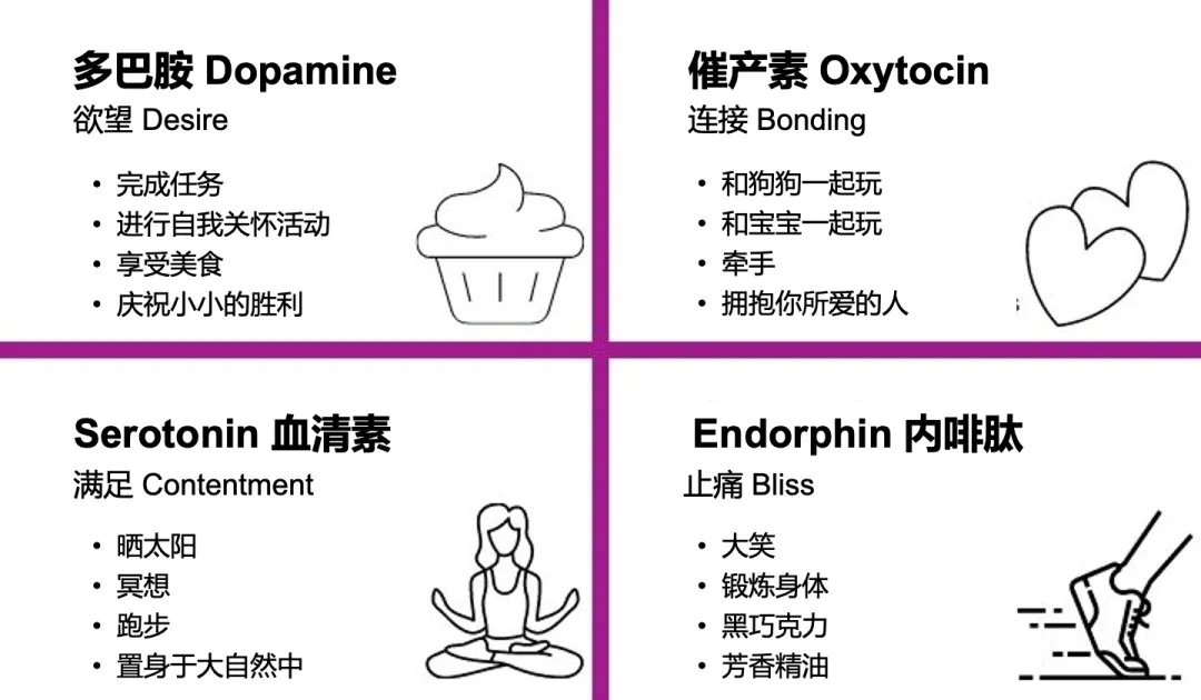 
多巴胺 DOPAMINE
催產素 OXYTOCHIN
血清素 SEROTONIN
內啡肽  ...