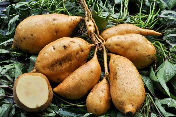 2025-12-12
中國推動國產 AI 半導體，減少對 NVIDIA 依賴

沖繩主權問題被...