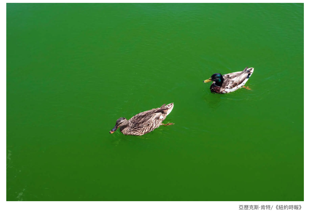 2026-06-16 13:24:03 - (17)  2026-06-16 下午1.22.01
D ...
