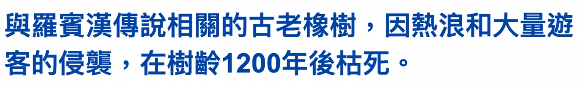 與羅賓漢傳說相關的古老橡樹,因熱浪和大量遊客的侵襲,在樹齡1200年後枯死。