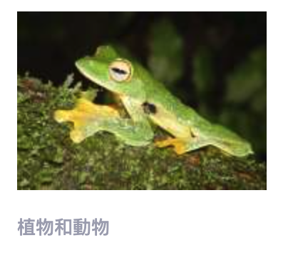 2026-06-19 06:25:00 - (2)  2026-06-19 上午6.16.56
De ...