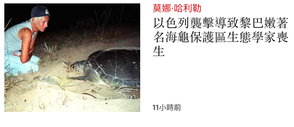 以色列襲擊導致黎巴嫩著'伯誤名海龜保護區生態學家襄1仙a 11小時前